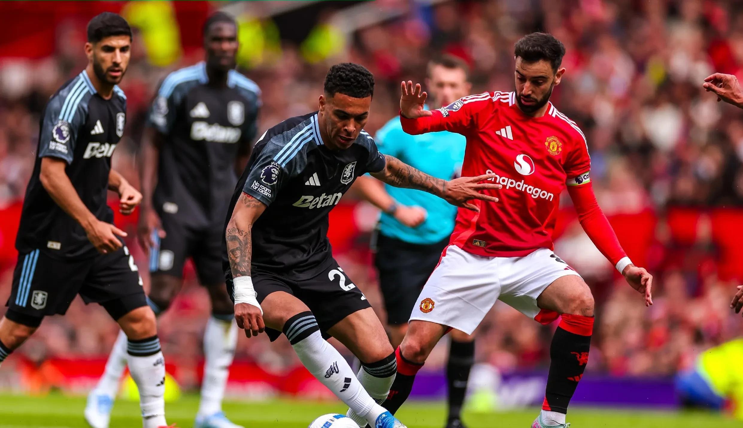 大棚早熟葡萄品种-爱游戏官网首页